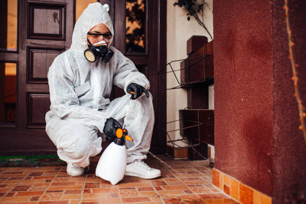 Reliable Bed Bug Control contractor in Santa Venetia, CA by Nex Pest Control